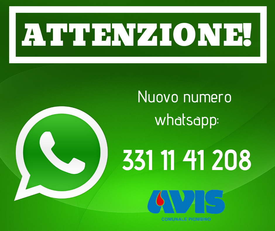 Nuovo numero whatsapp 3311141208